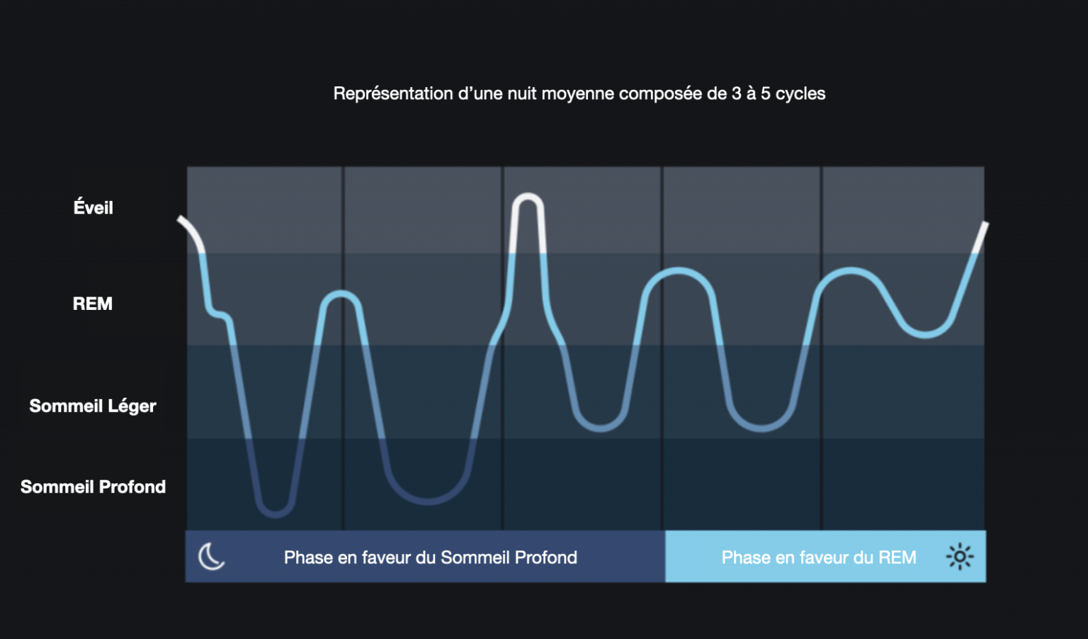 Les Différentes Phases Du Sommeil – Cells